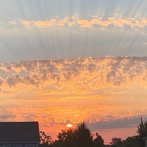 Meet your Posher, Jillian